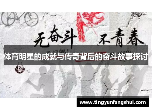 体育明星的成就与传奇背后的奋斗故事探讨