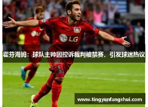 霍芬海姆：球队主帅因控诉裁判被禁赛，引发球迷热议