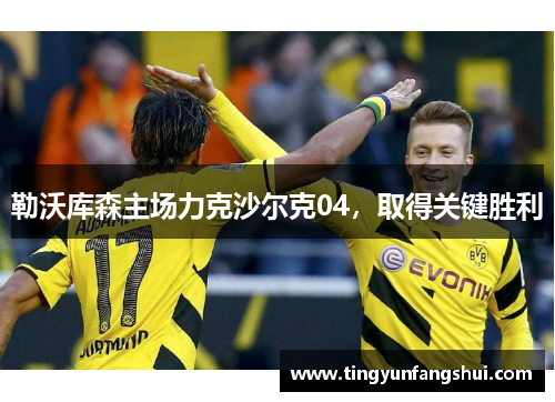 勒沃库森主场力克沙尔克04，取得关键胜利