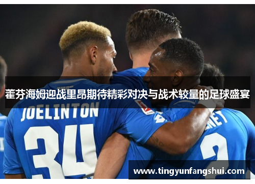藿芬海姆迎战里昂期待精彩对决与战术较量的足球盛宴