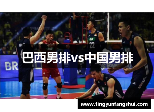 巴西男排vs中国男排